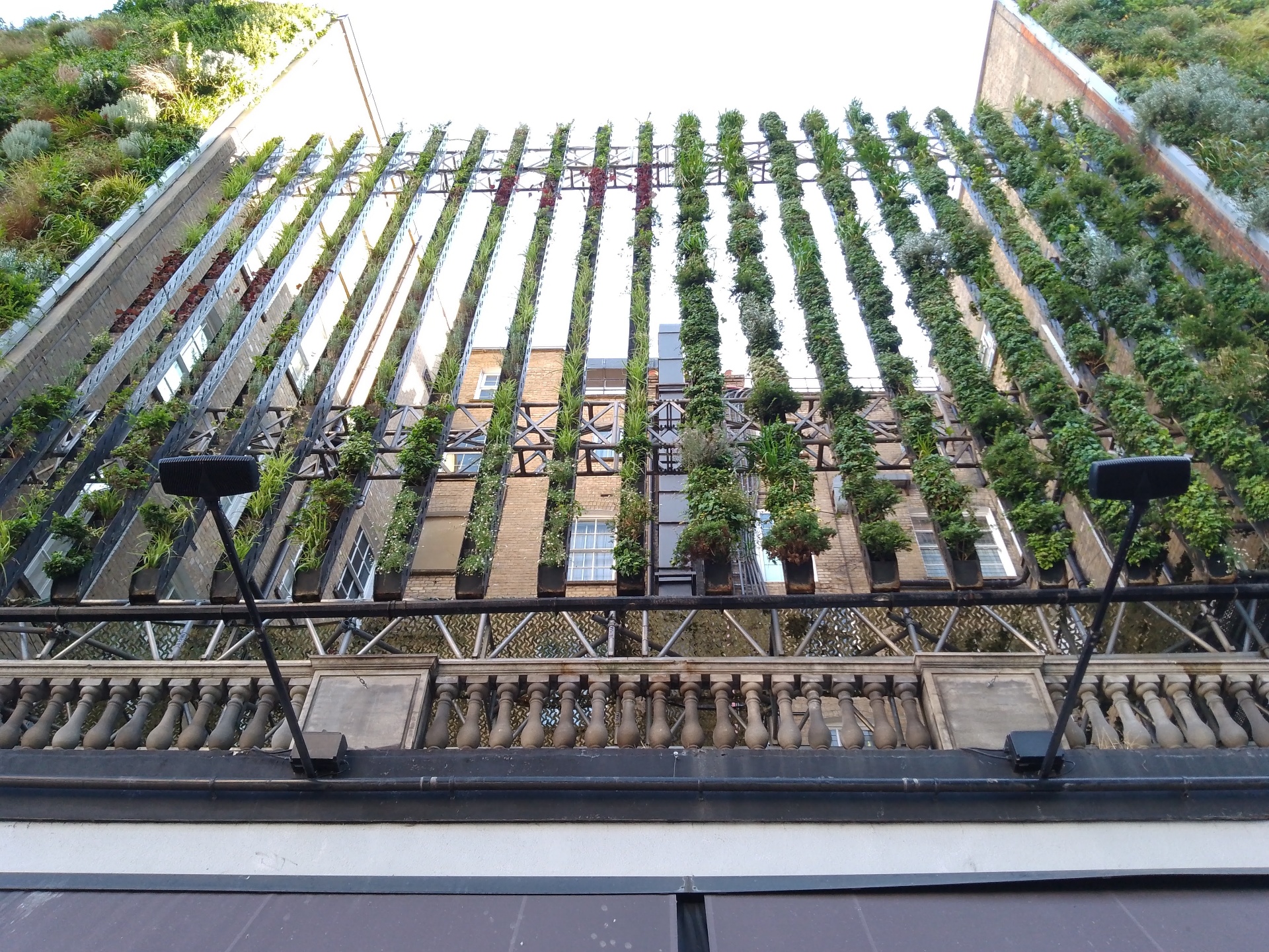 Vertical Living Wall Installation