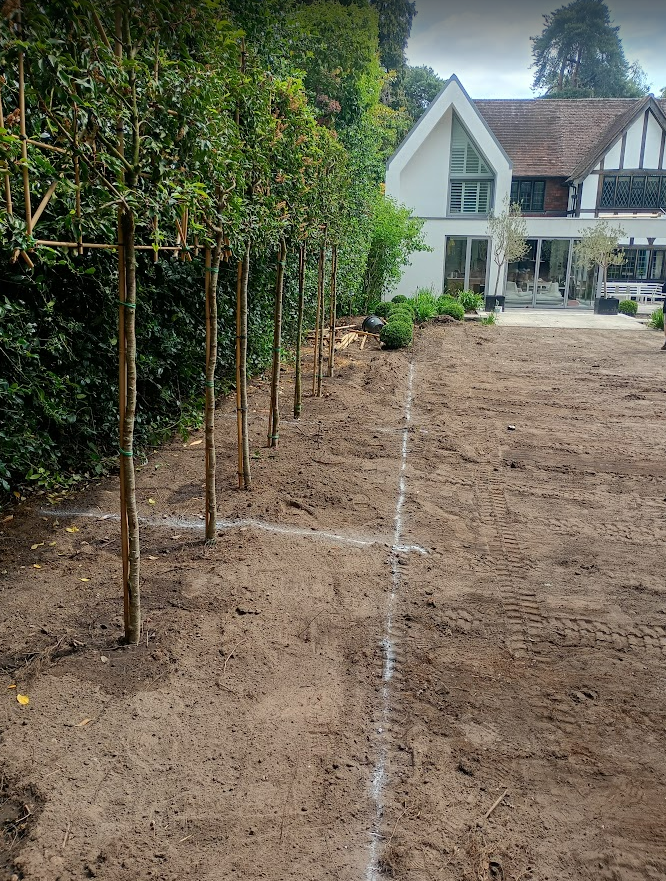 Before landscaping
