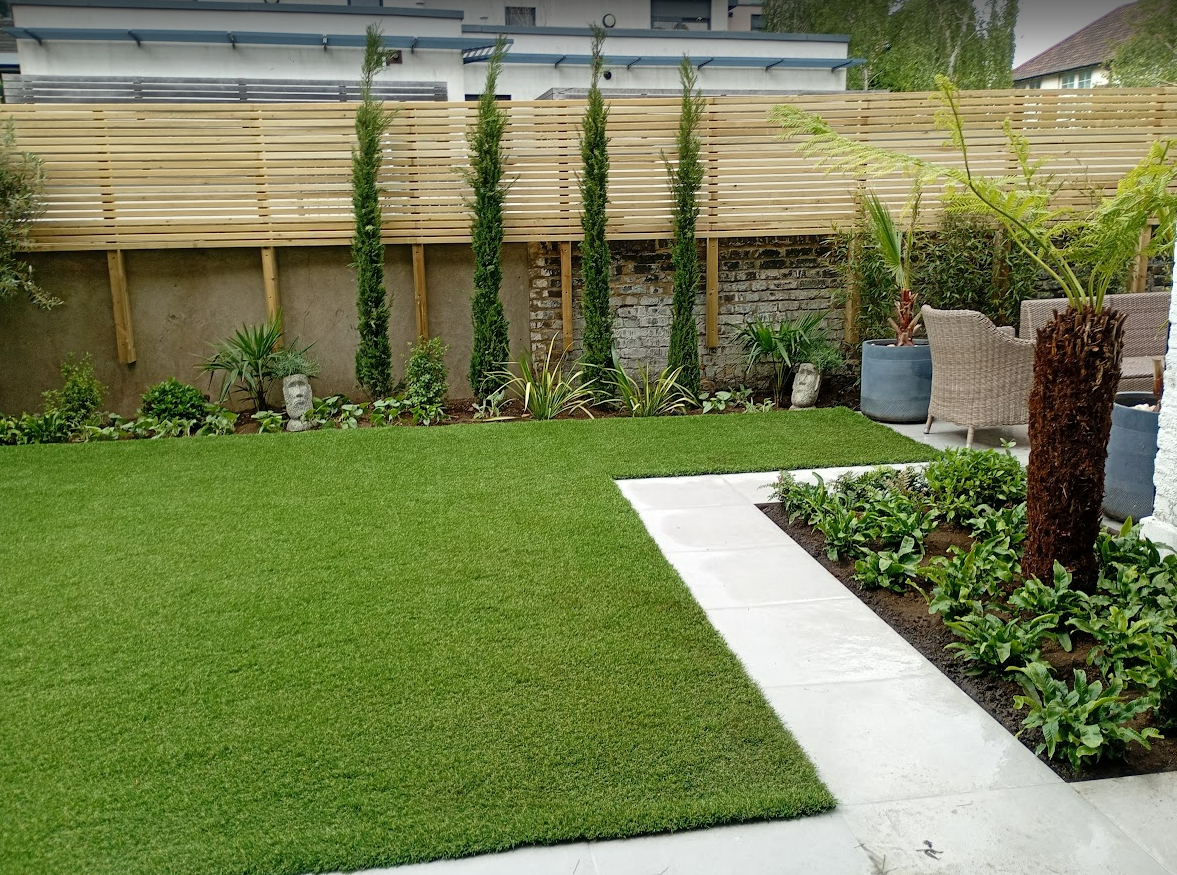 Contemporary Lawn with Architectural Planting